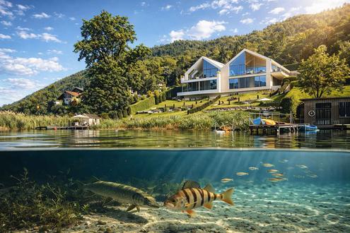 Architekten-Seevilla mit privatem Badesteg am Ossiacher See