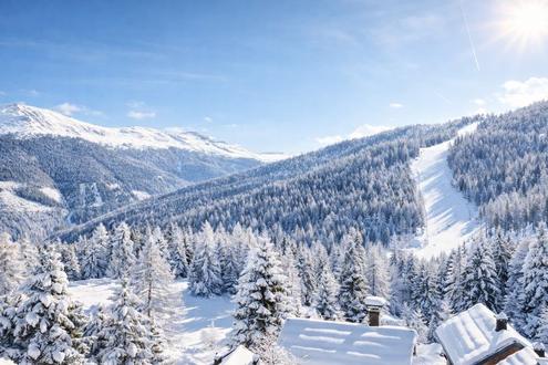 Luxus-Almchalet auf der Turracher H�he - FREIZEITWOHNSITZWIDMUNG