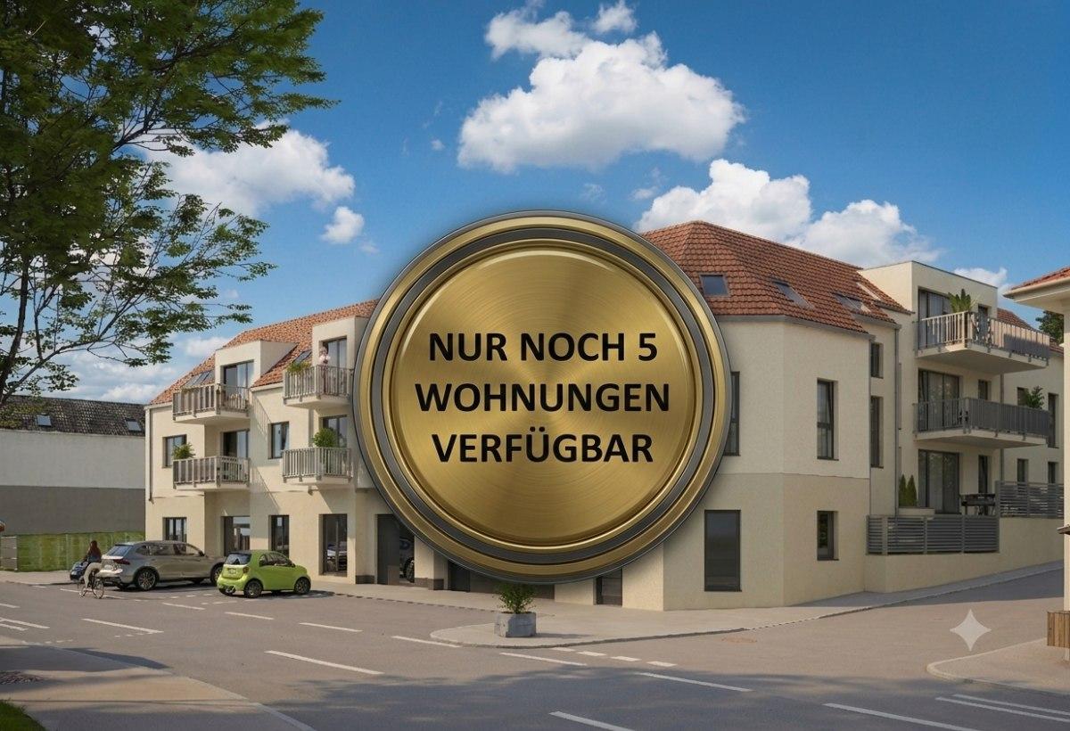 Bild1