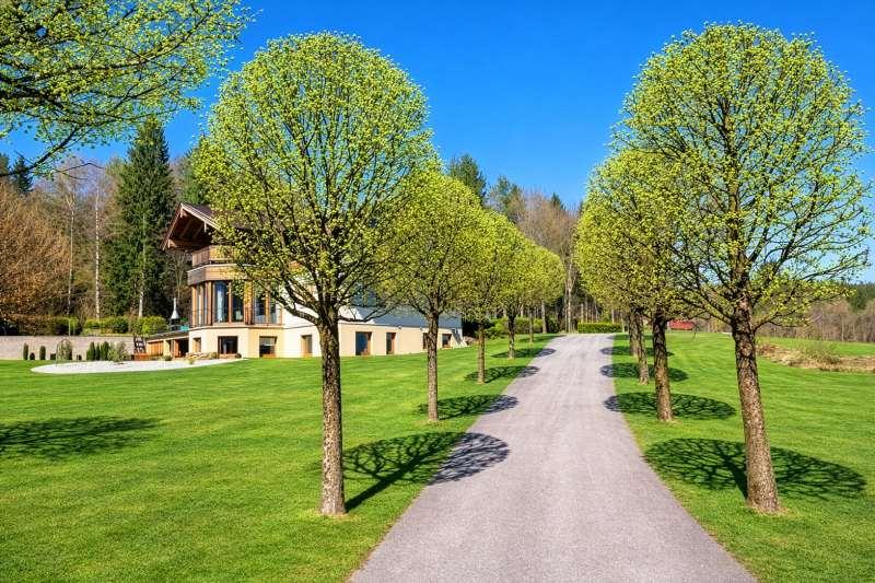 Allee Fr�hling