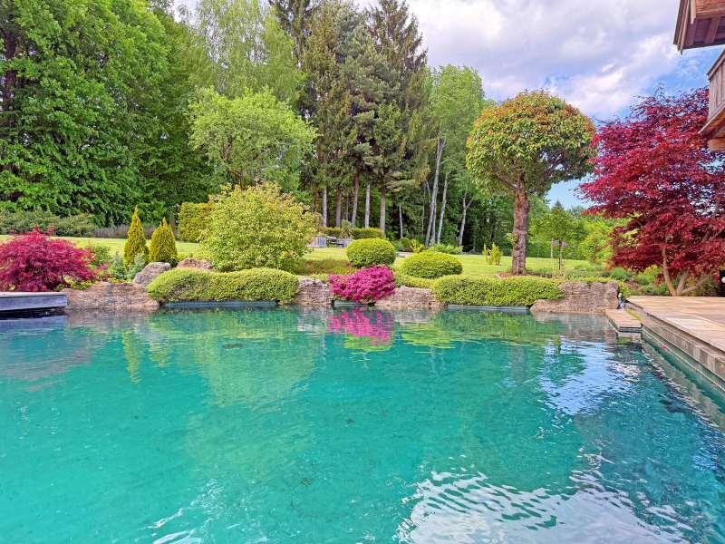 Schwimmteich/Garten