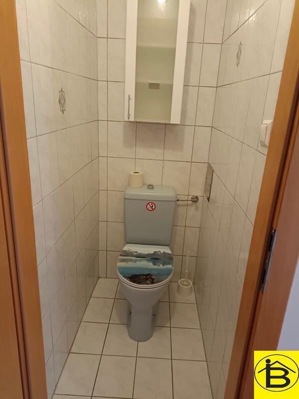 7 (1)