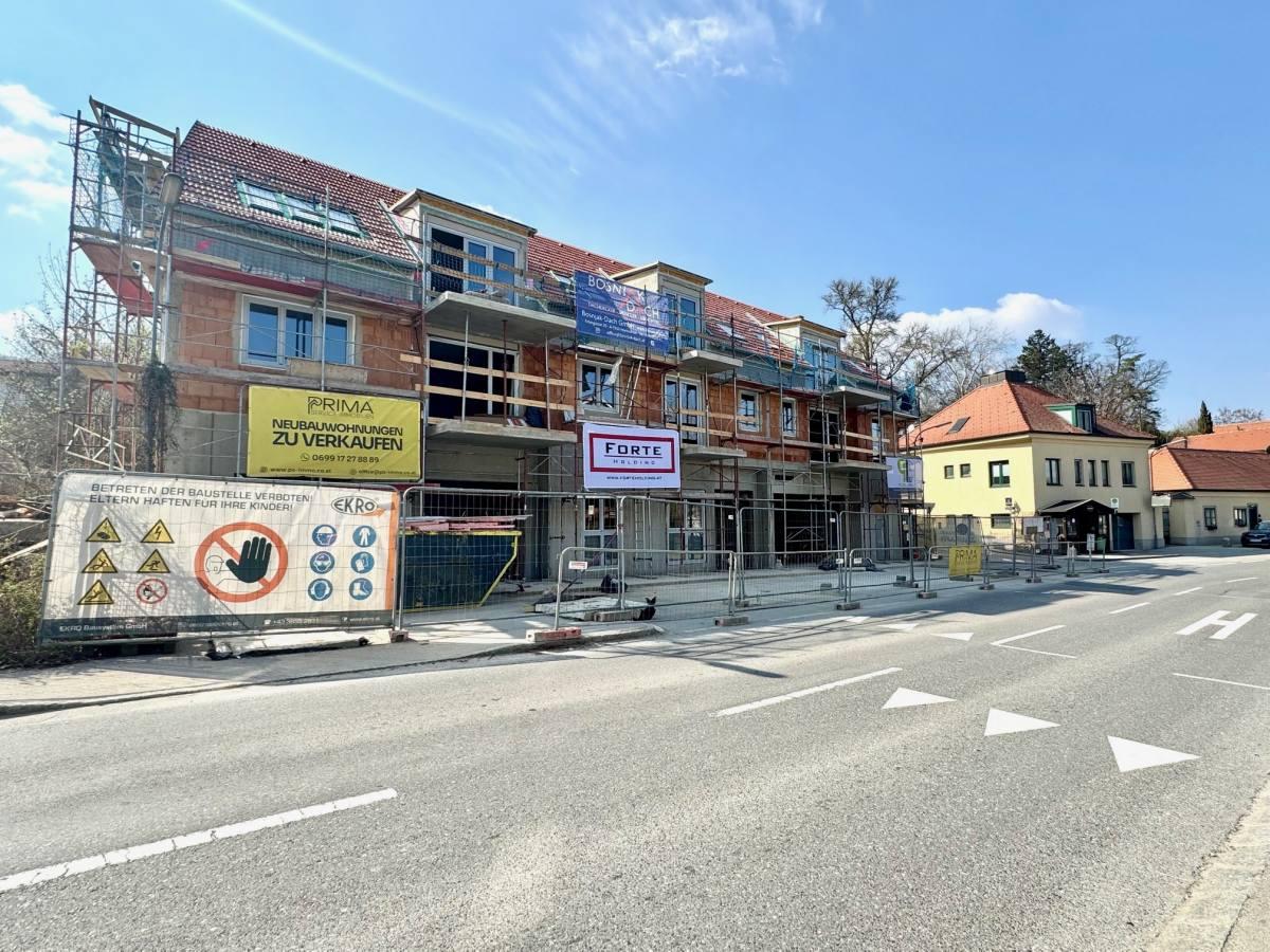 Kritzendorf3