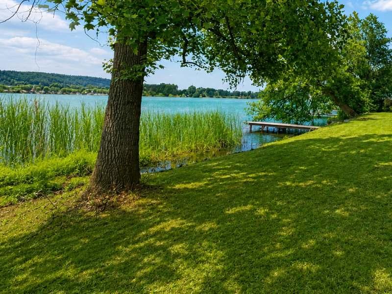 Seegrund