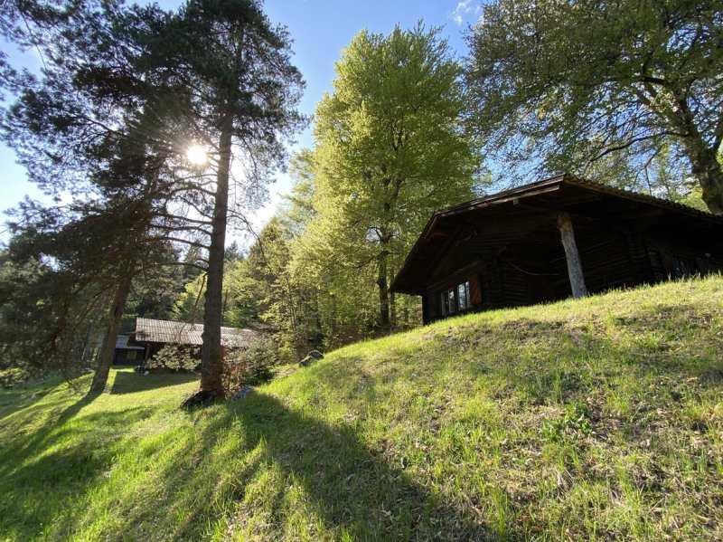 Chalets