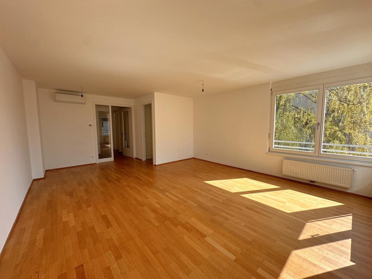 Zimmer1-2