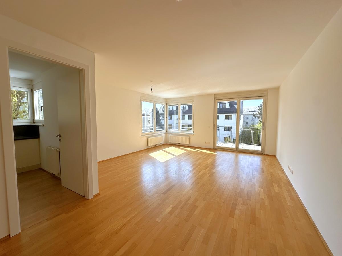 Zimmer1-1