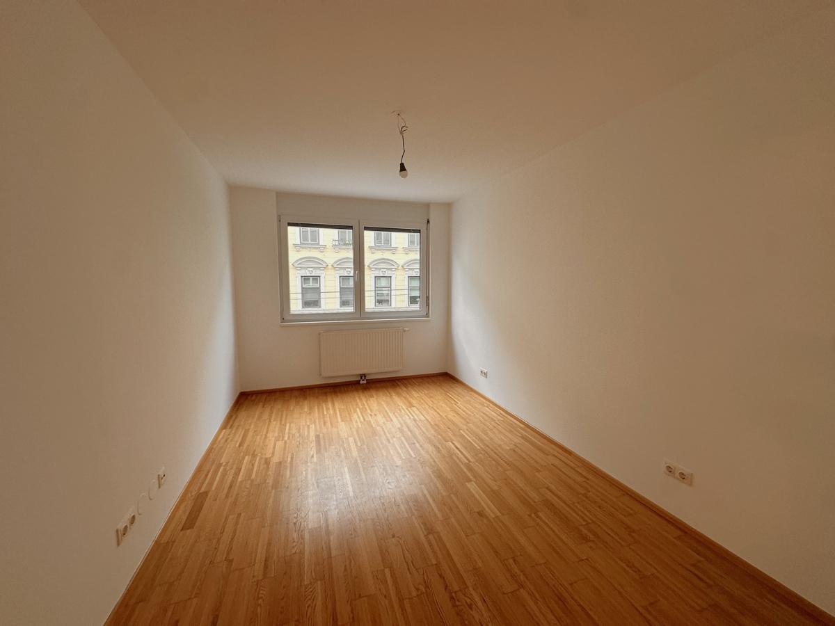 Zimmer1-1
