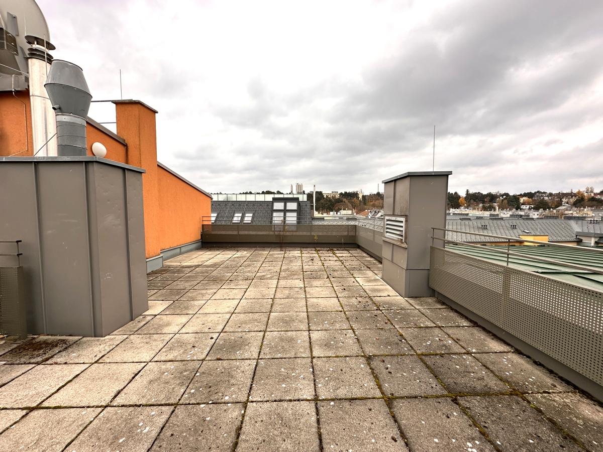 Dachterrasse1-1