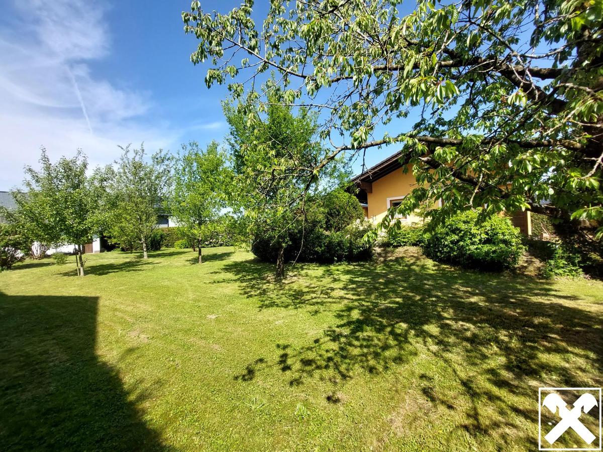 Blick in den Garten