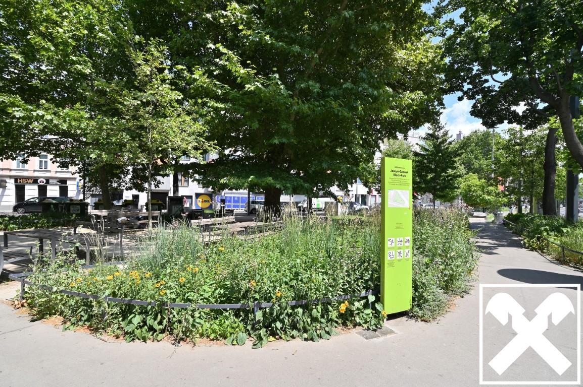 Joseph-Samuel-Bloch-Park