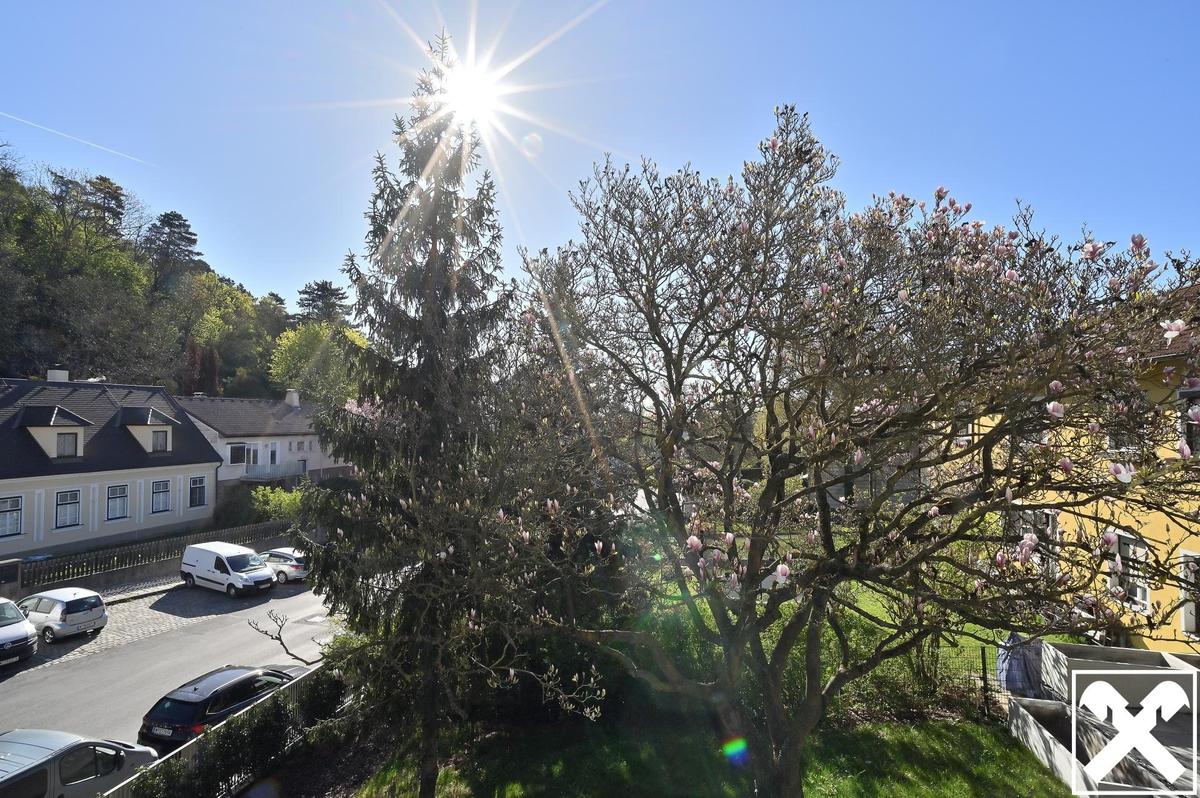 Ausblick Arbeitszimmer