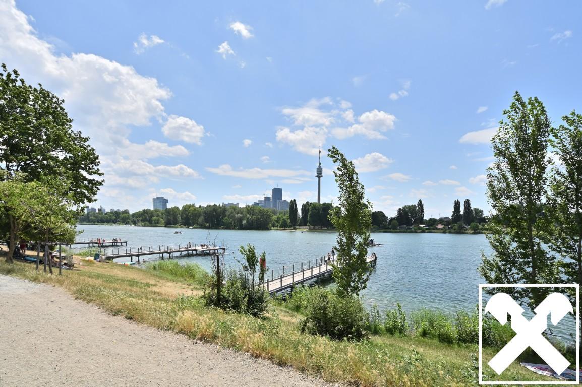 Alte Donau