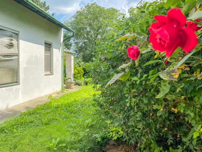 Stammersdorf: Baugrundstck /  / 1210 Wien / Bild 6