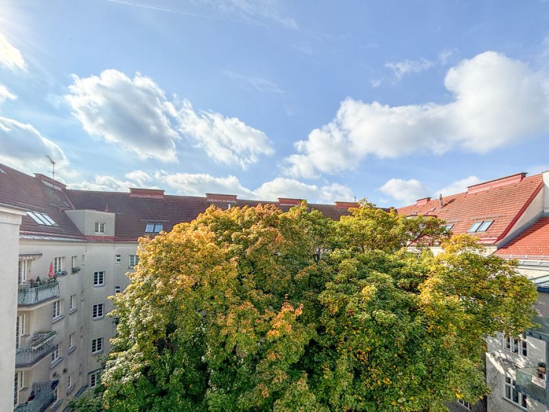 Traumhafte Dachgeschoßwohnung mit Terrasse auf einer Wohnebene /  / 1180 Wien / Bild 6