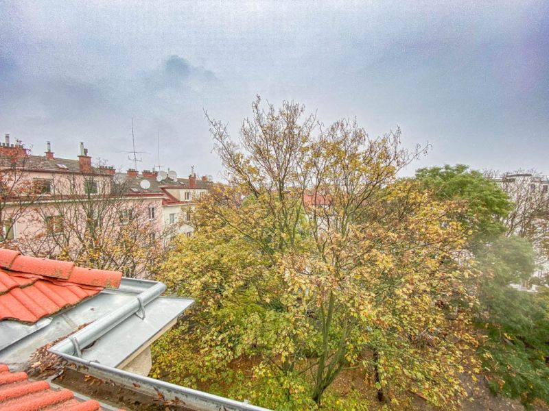 Baugenehmigter Rohdachboden N�he Puchsbaumpark /  / 1100&nbsp;Wien / Bild 5