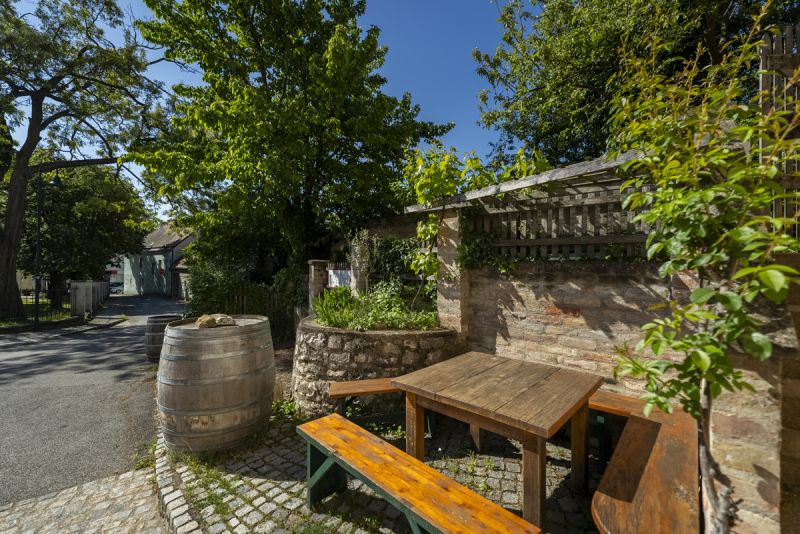 Traumhaftes Einfamilienhaus mit Vinothek im Herzen des Weinviertels /  / 2162 Falkenstein / Bild 6