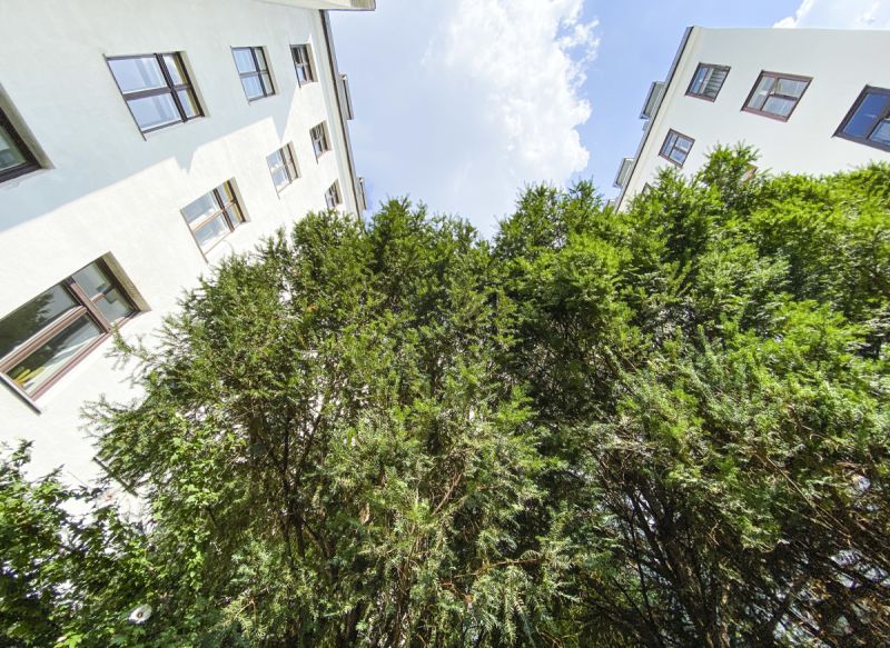 Renovierungsbedrftige 3-Zimmer-Wohnung Nhe Myrthengasse /  / 1070 Wien / Bild 1