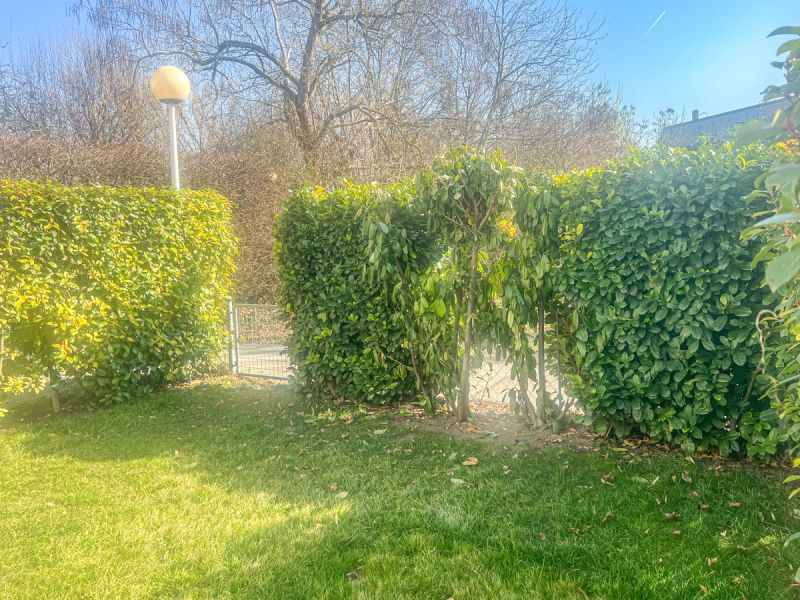 Schne Wohnung in Grnruhelage mit Eigengarten /  / 1220 Wien / Bild 7
