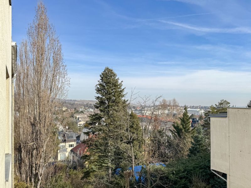 Renovierungsbedürftige Singlewohnung mit schönem Ausblick