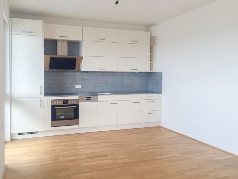 Lichtdurchflutete Stadtwohnung mit traumhafter Aussicht über Wien / / 1210 Wien / Bild 3