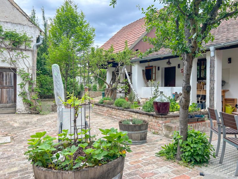 Ein Zuhause mit Seele im Herzen von Falkenstein