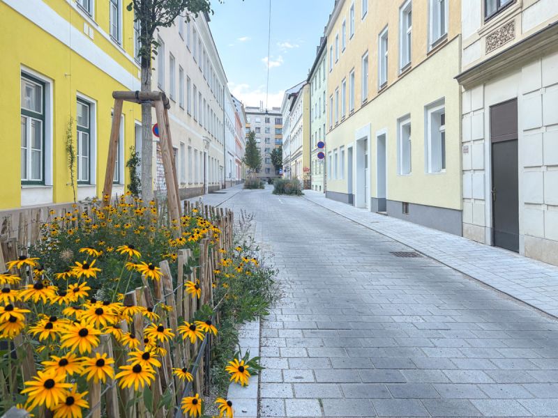 Altbauwohnung mit italienischem Flair in klimafreundlicher Wohnstrae