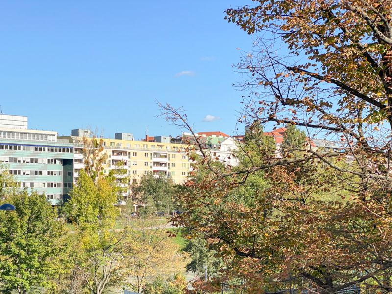 Friedensbrücke: 2 Zimmer-Altbau