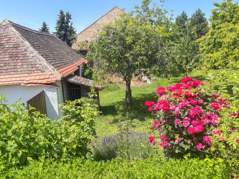 Idyllischer Dreiseithof im Weinviertel - Viel Platz zum Wohlfhlen und Entspannen /  / 2042 Guntersdorf / Bild 4