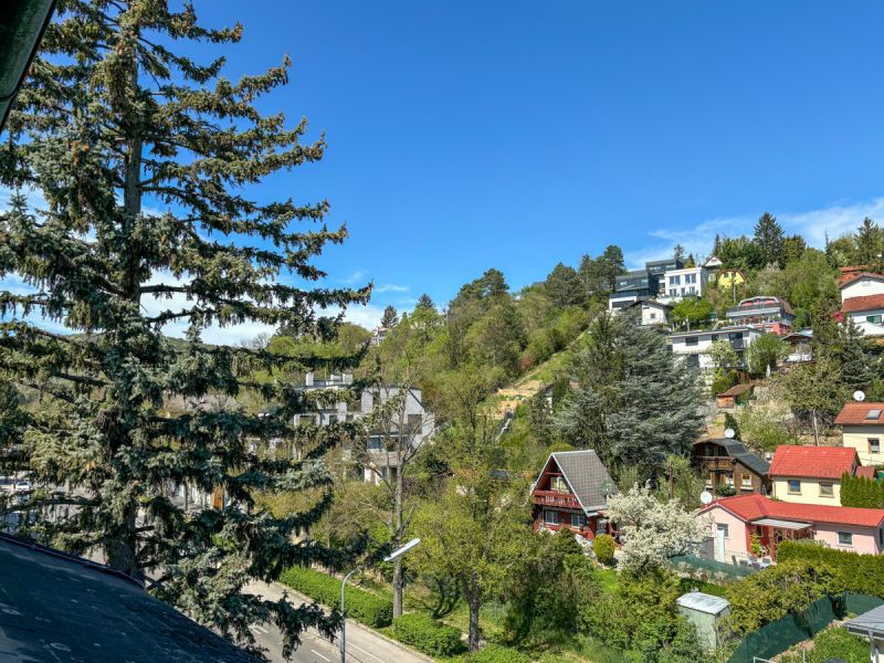 Fantastisches Einfamilienhaus mit Indoorpool und Sauna in Dblinger Villengegend /  / 1190 Wien / Bild 4