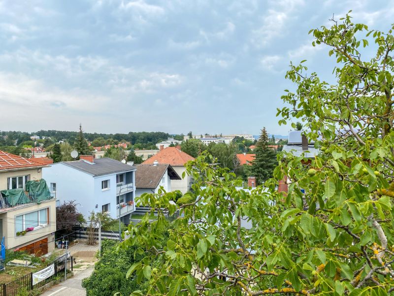 Nhe Napoleonwald: Renovierungsbedrftiges Ein- Zweifamilienhaus mit Charme /  / 1130 Wien / Bild 1