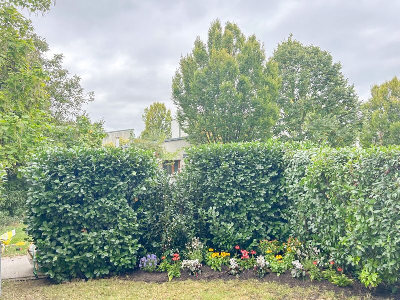 Schne Wohnung mit Garten am Golfplatz Senbrunn /  / 1220 Wien / Bild 1