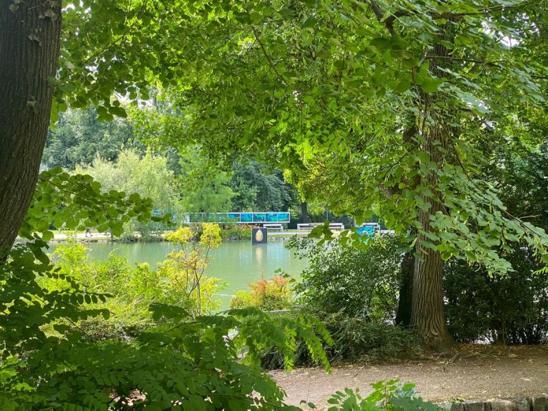 Loggiawohnung am Doblhoffpark /  / 2500 Baden / Bild 5