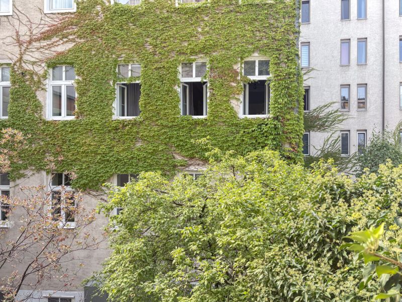 Gepflegte Altbauwohnung mit 2 Zimmern in zentraler Lage /  / 1080 Wien / Bild 7