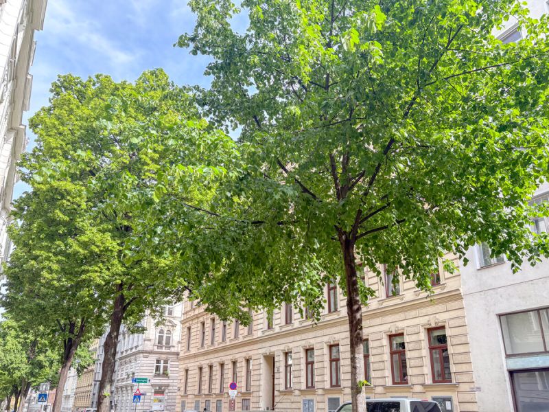 Singlewohnung mit Balkon / / 1080 Wien / Bild 1