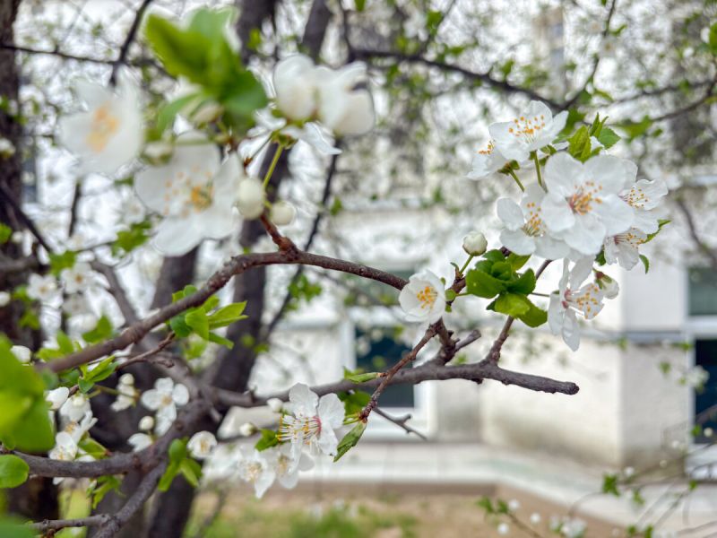 Altbauflair in Sievering: Gro�z�gige Wohnung mit Erker /  / 1190&nbsp;Wien / Bild 7