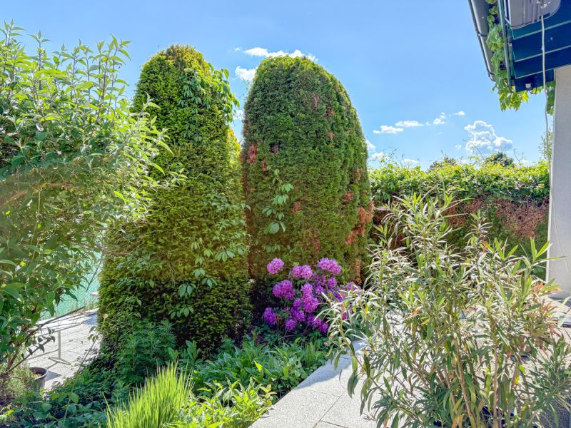 Idyllisches Haus mit eigenem Seezugang /  / 2434 Gtzendorf an der Leitha / Bild 3