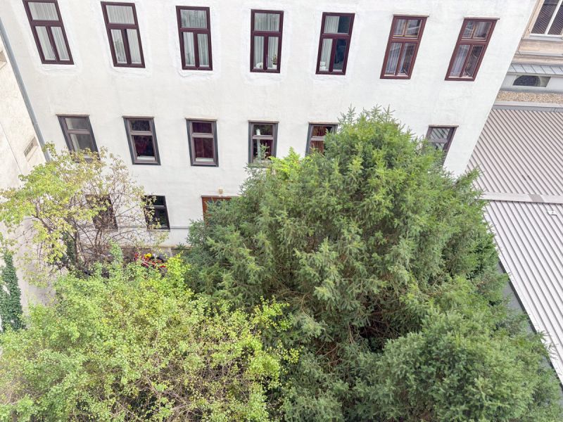 Renovierungsbedrftige 3-Zimmer-Wohnung Nhe Myrthengasse /  / 1070 Wien / Bild 9