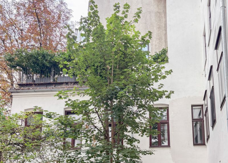 Helle 3-Zimmer-Altbauwohnung in attraktiver Lage nahe dem Margaretenplatz / / 1050 Wien / Bild 4