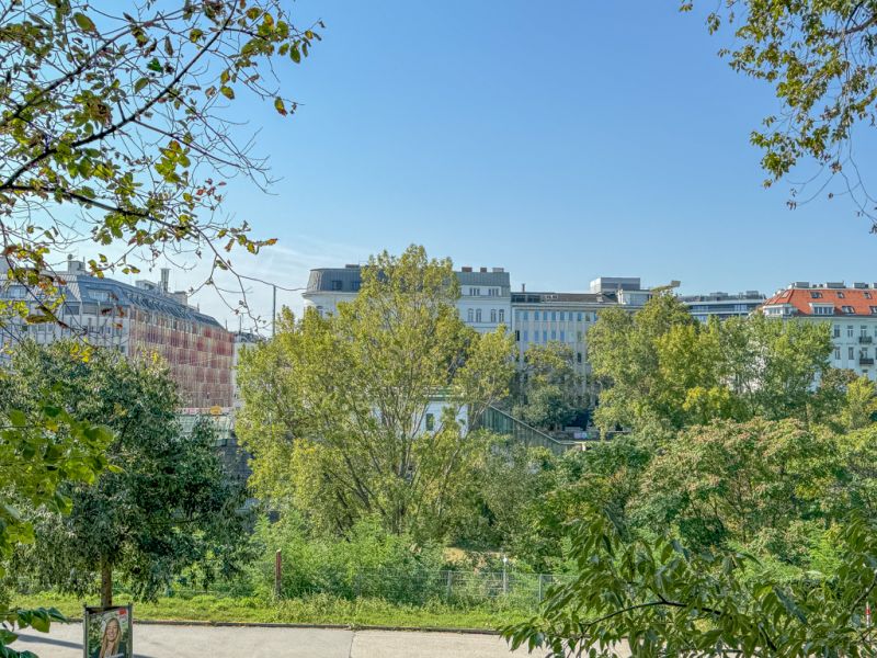 Wohnen mit Ausblick ? Charmante Altbauwohnung an der Brigittenauer Lände