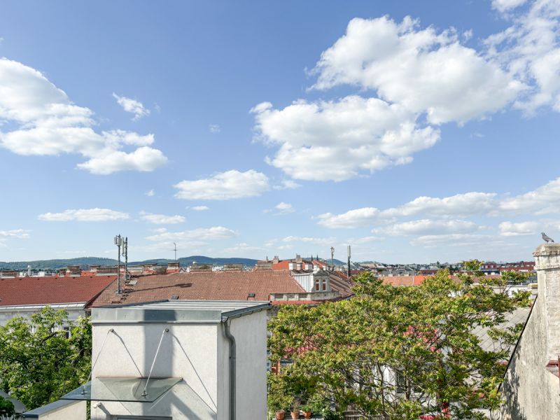 Lichtdurchflutete Wohnung mit Terrasse und urbanem Flair /  / 1170 Wien / Bild 4