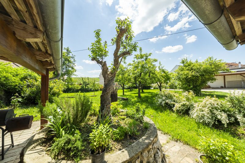 Ein Zuhause mit Seele im Herzen von Falkenstein /  / 2162&nbsp;Falkenstein / Bild 5