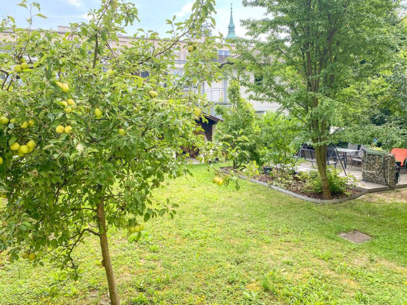 Gartenwohnung nahe Zentrum Stockerau /  / 2000 Stockerau / Bild 1