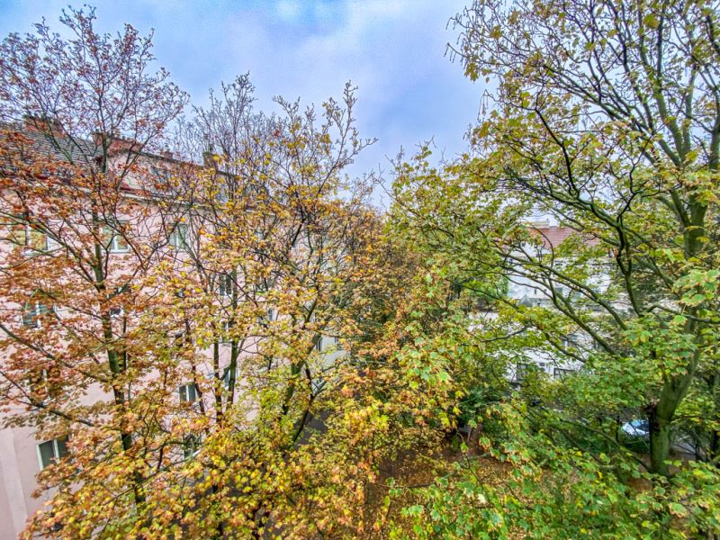 Baugenehmigter Rohdachboden N�he Puchsbaumpark /  / 1100&nbsp;Wien / Bild 3