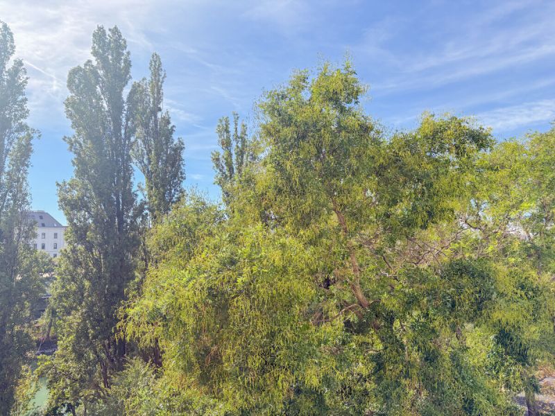 Helle 2-Zimmer-Altbauwohung Nähe Friedensbrücke / / 1200 Wien / Bild 4