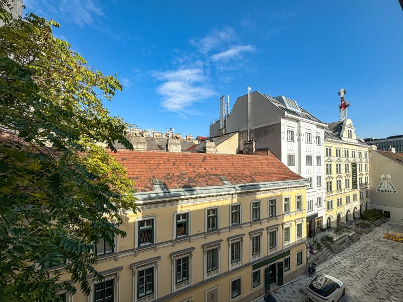 Zentrumsnahe Biedermeierwohnung