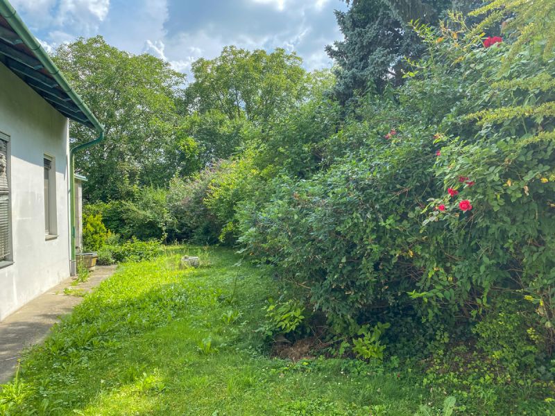Stammersdorf: Baugrundstck /  / 1210 Wien / Bild 1