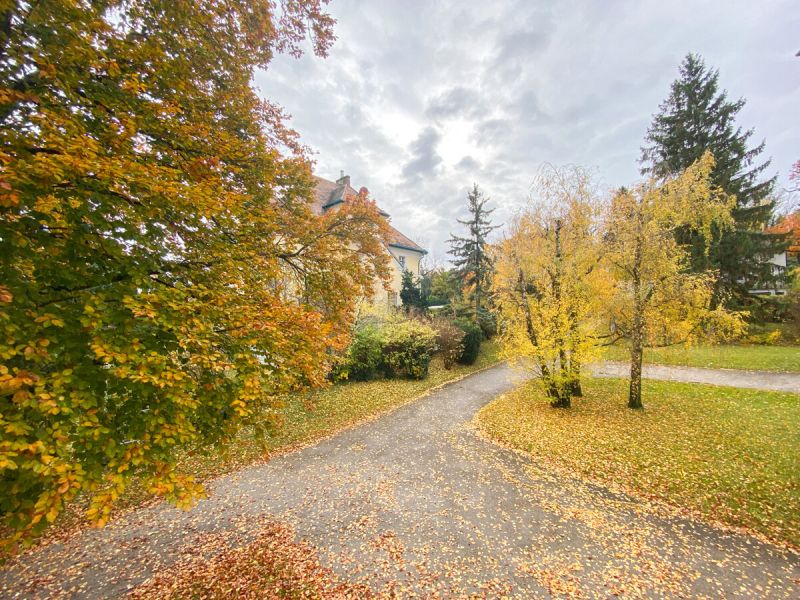 Sonnige 3,5-Zimmer-Balkonwohnung /  / 1170 Wien / Bild 1