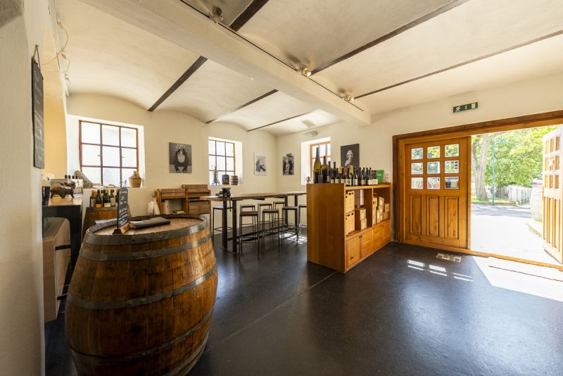 Traumhaftes Einfamilienhaus mit Vinothek im Herzen des Weinviertels /  / 2162 Falkenstein / Bild 4