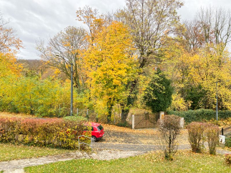 Sonnige 3,5-Zimmer-Balkonwohnung /  / 1170 Wien / Bild 4